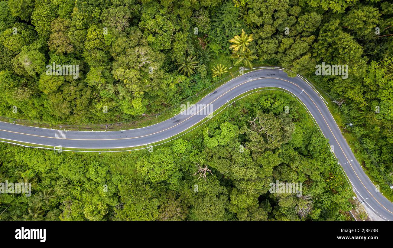 An aerial view of road surrounded by growing lush trees in Phuket jungle Stock Photo