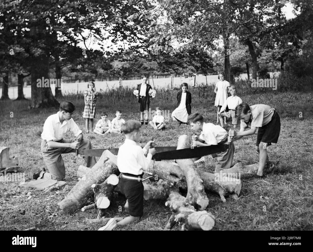 Evacuees from Deptford Park School in London saw logs on the estate