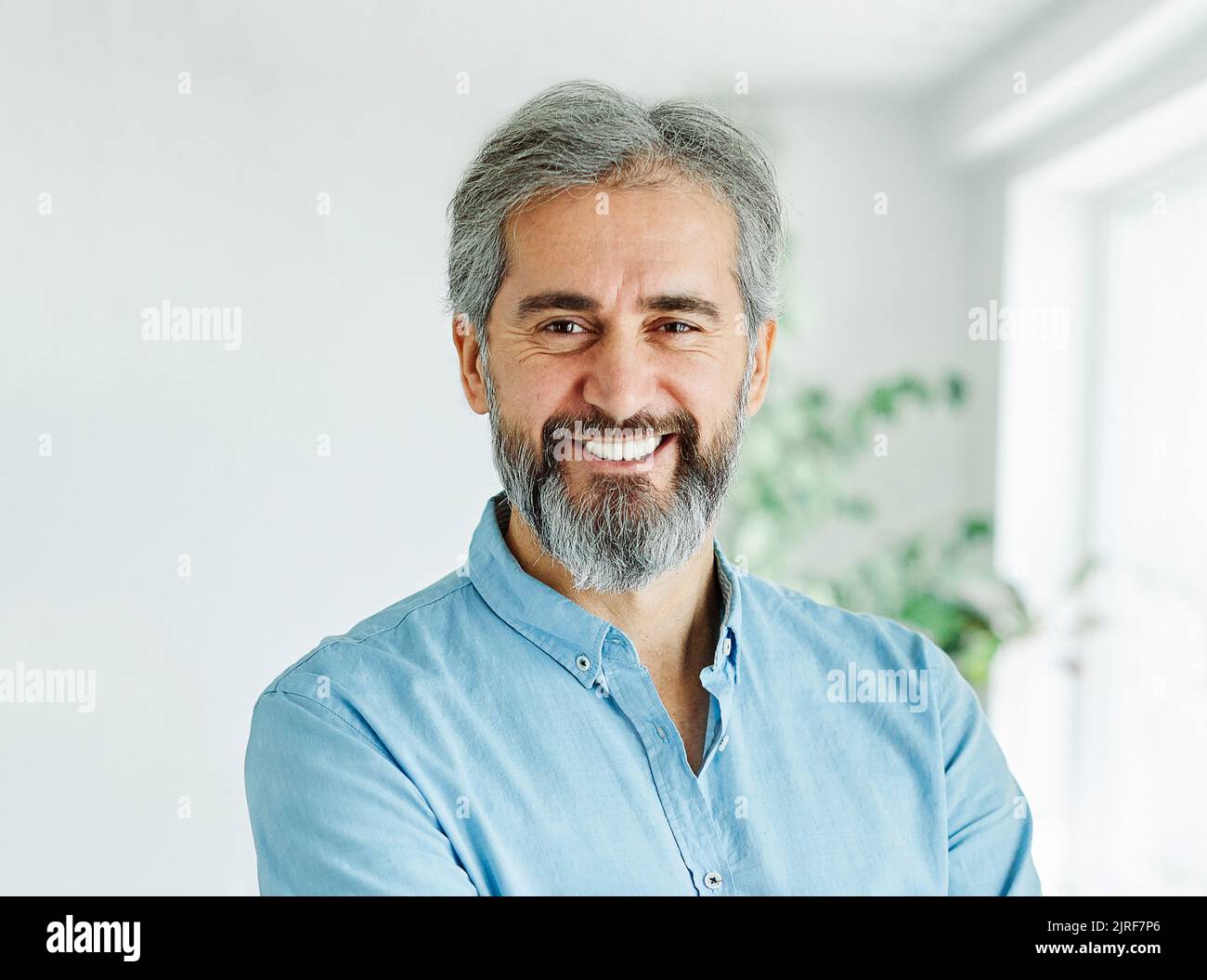 senior businessman office work business casual mature gray hair portrait happy lawyer entrepreneur Stock Photo