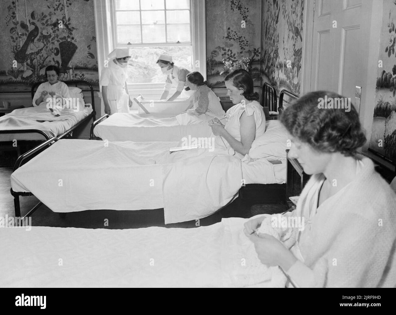 Mansion Becomes Maternity Home- Life at Brocket Hall, Welwyn, Hertfordshire, 1942 New mothers knit as they convalesce in a 'ward' in Brocket Hall. The walls of the room are covered in Chinese wallpaper, which, according to the original caption, is very valuable. In the background, two nurses, both wearing surgical masks, tend to a baby in a cot next to its mother's bed. Stock Photo