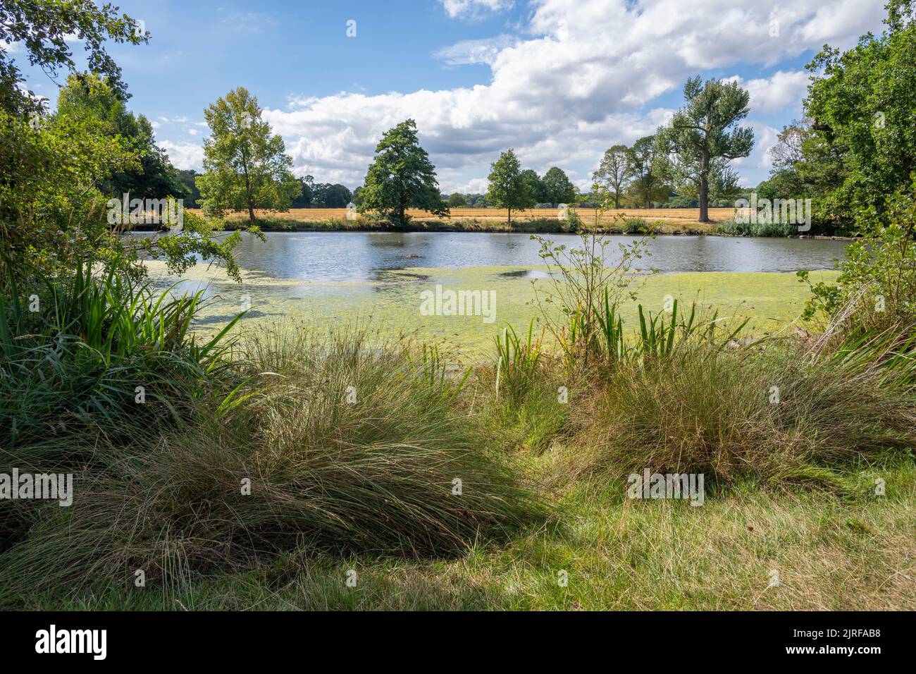 Spring fed pond hi-res stock photography and images - Alamy