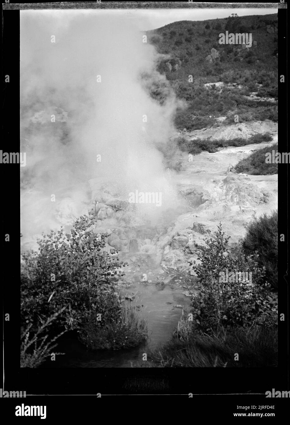 Geyser eruption, by J.W. ChapmanTaylor Stock Photo Alamy