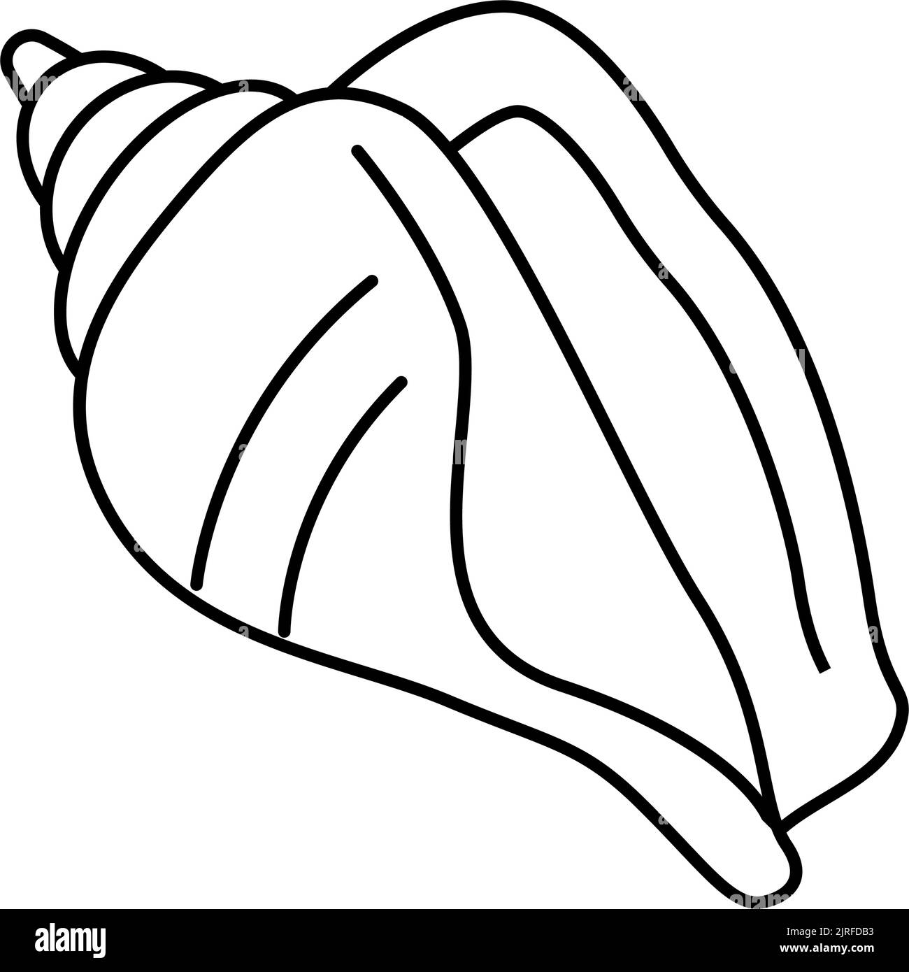 strombus sea shell beach line icon vector illustration Stock Vector ...