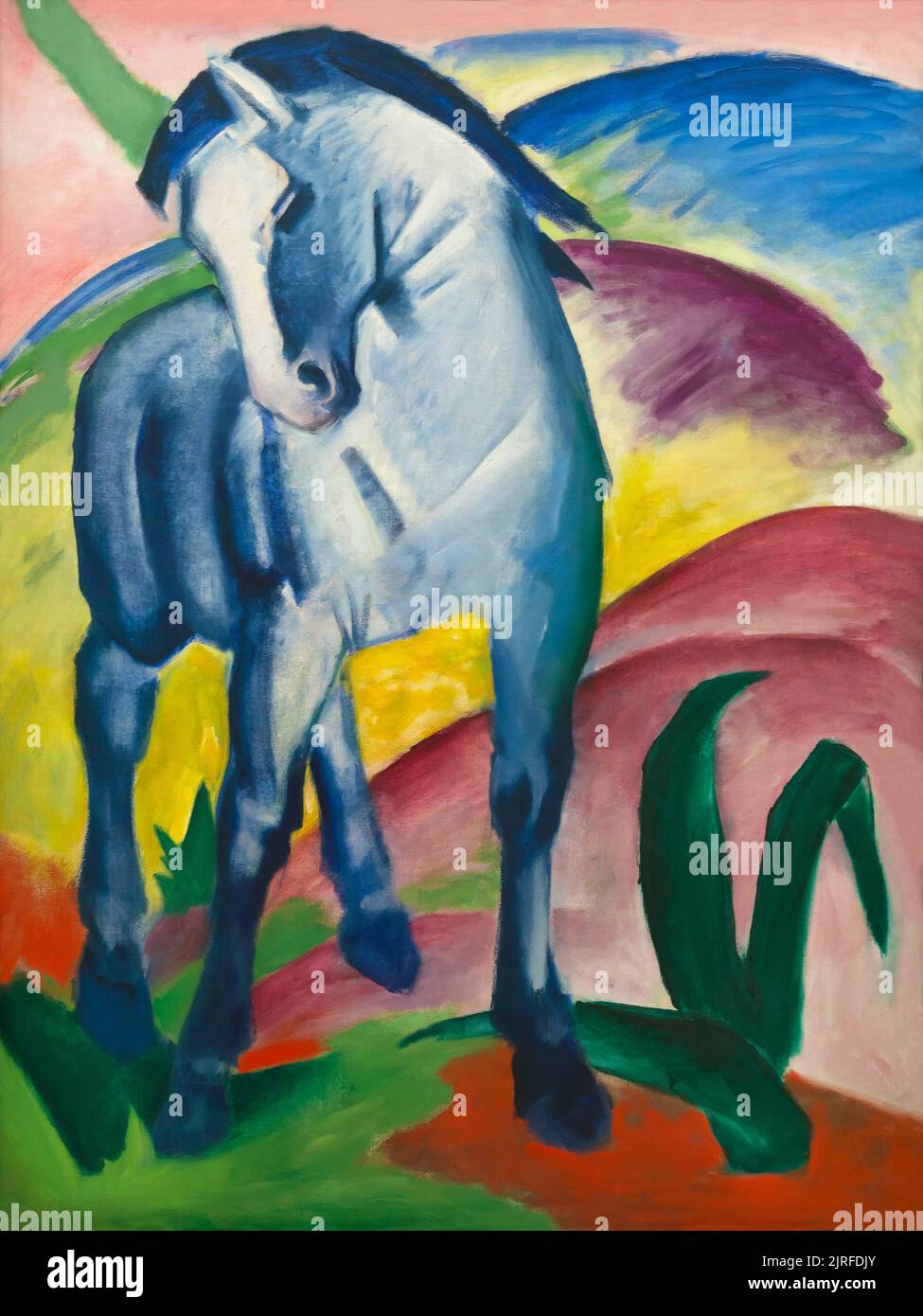 Blue Horse I, Franz Marc, 1911, Lenbachhaus, Munich,  Germany, Europe Stock Photo