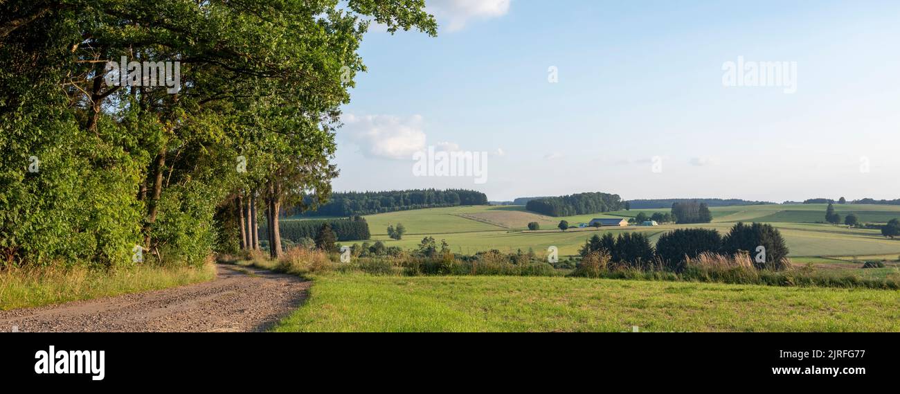 fields and forests in countryside landscape of belgian hautes fagnes Stock Photo