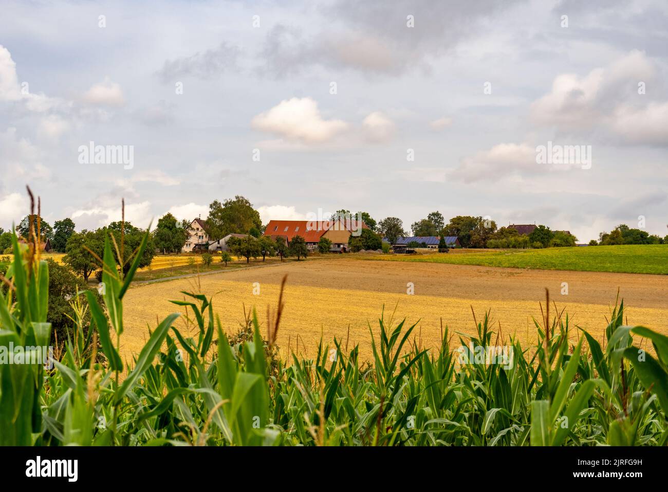 Idyllic farmland scenery around a small village in Hohenlohe, an area in Southern Germany at late summer time Stock Photo