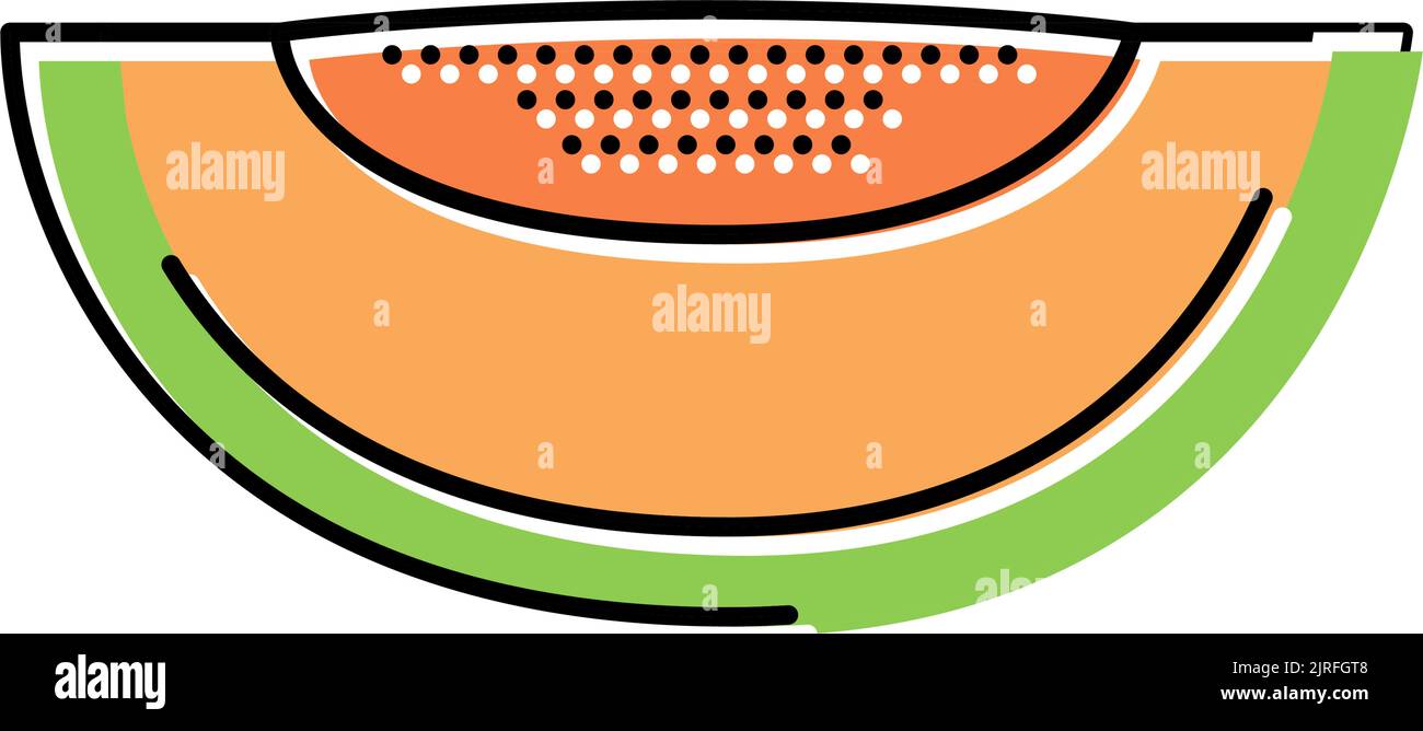 green melon seeds slice cantaloupe color icon vector illustration Stock