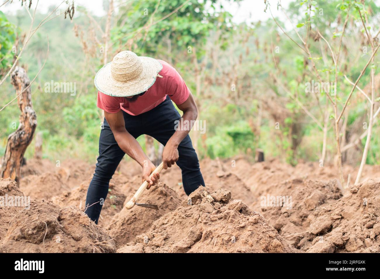 african farmer working in a farm Stock Photo