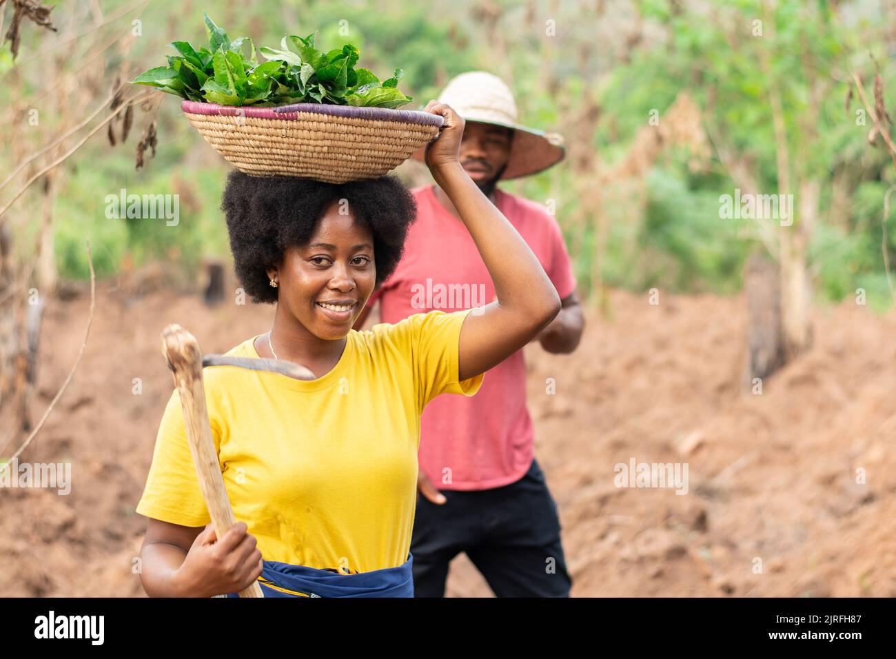 african farmers in a farm working Stock Photo