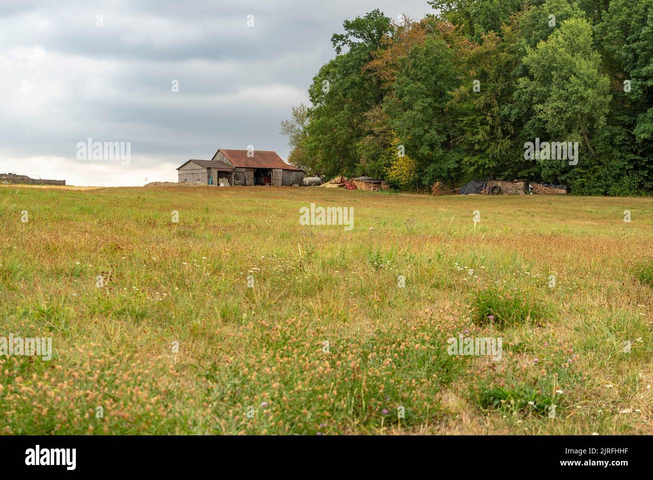 Peaceful farmland scenery in Hohenlohe, an area in Southern Germany at