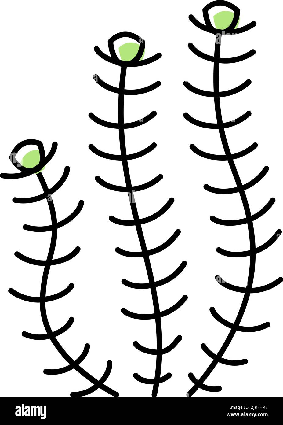 hornwort marine seaweed color icon vector illustration Stock Vector