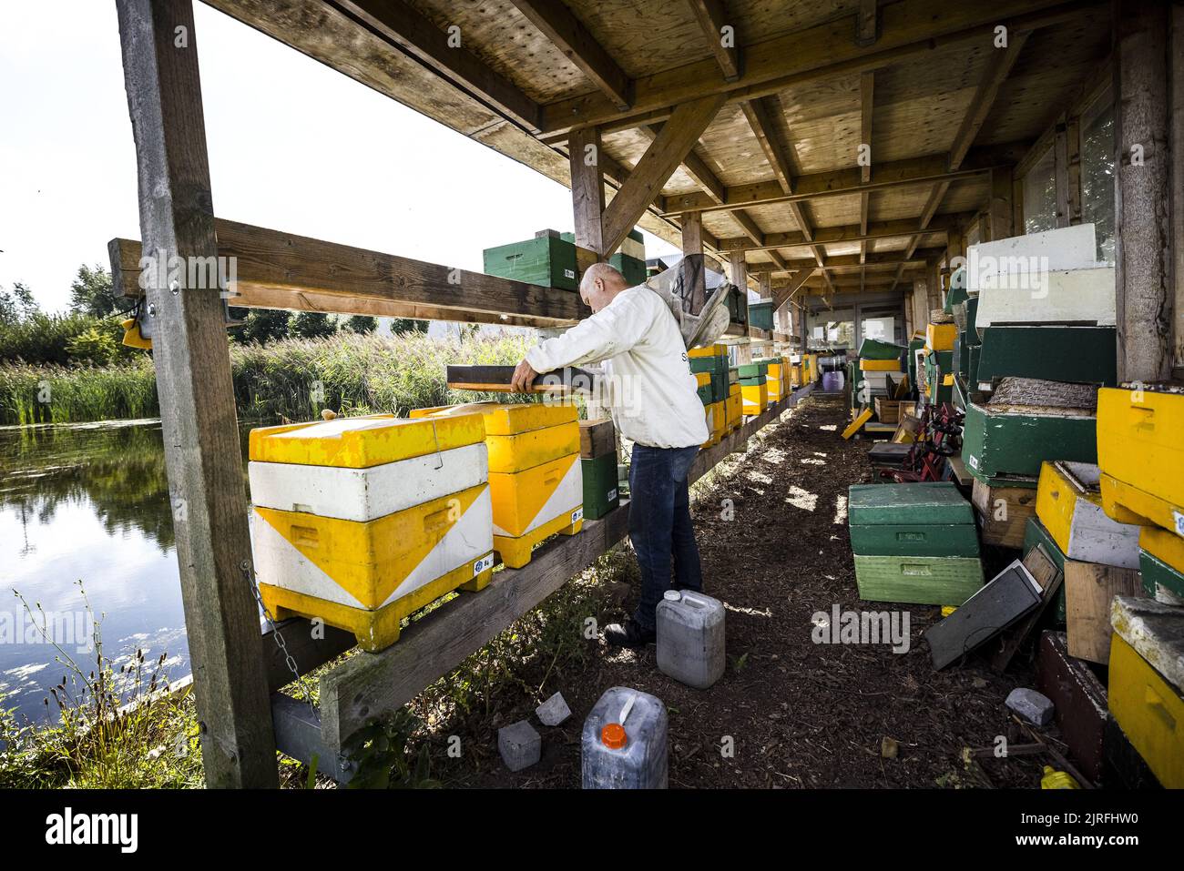 2022-08-24 11:39:06 TILBURG - Beekeeper Marcel Horck feeds his bees with extra sugar water. Due to the persistent drought, there is not enough nectar in the flowers to build up a winter supply. ANP ROB ENGELAAR netherlands out - belgium out Stock Photo