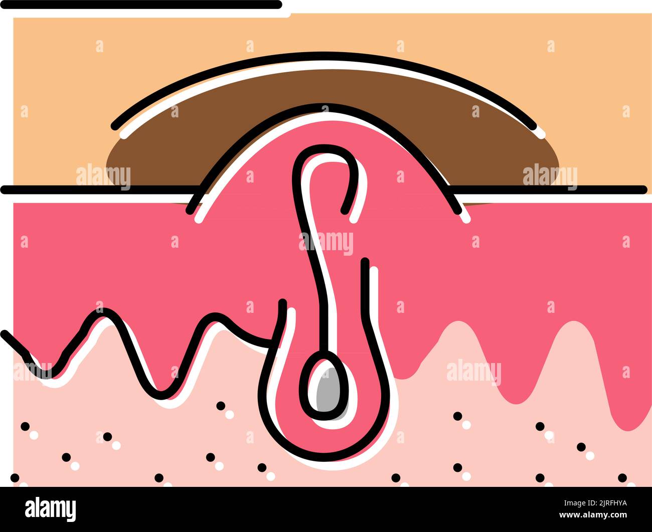 darkened skin color icon vector illustration Stock Vector Image & Art