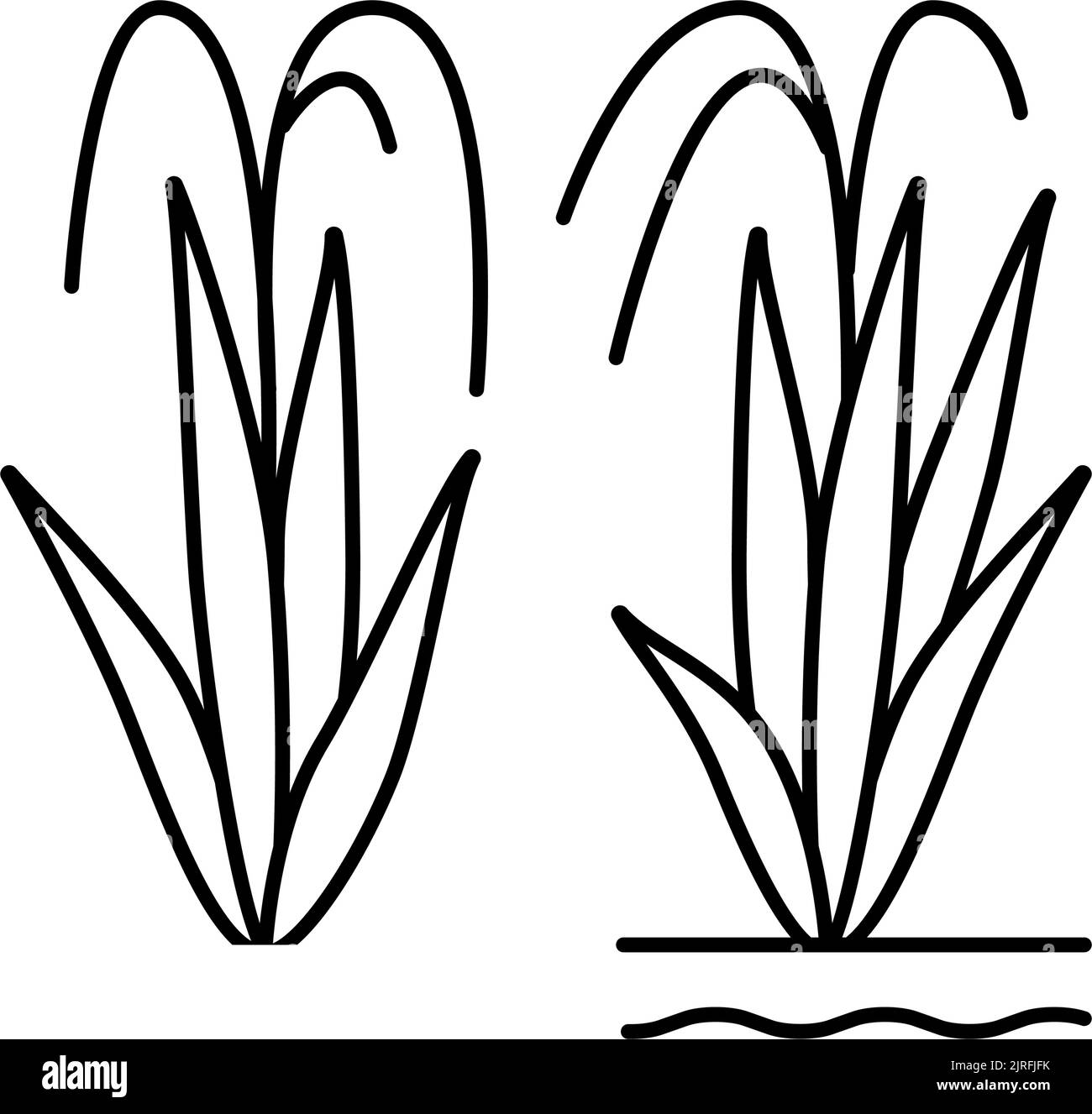 rice plant line icon vector illustration Stock Vector