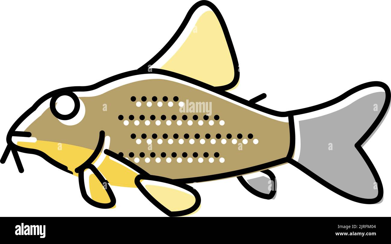 cory catfish color icon vector illustration Stock Vector