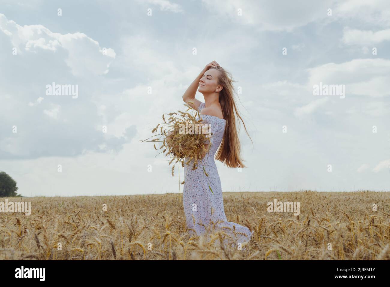 Young blonde woman with long hair stands in a wheat field with an ...