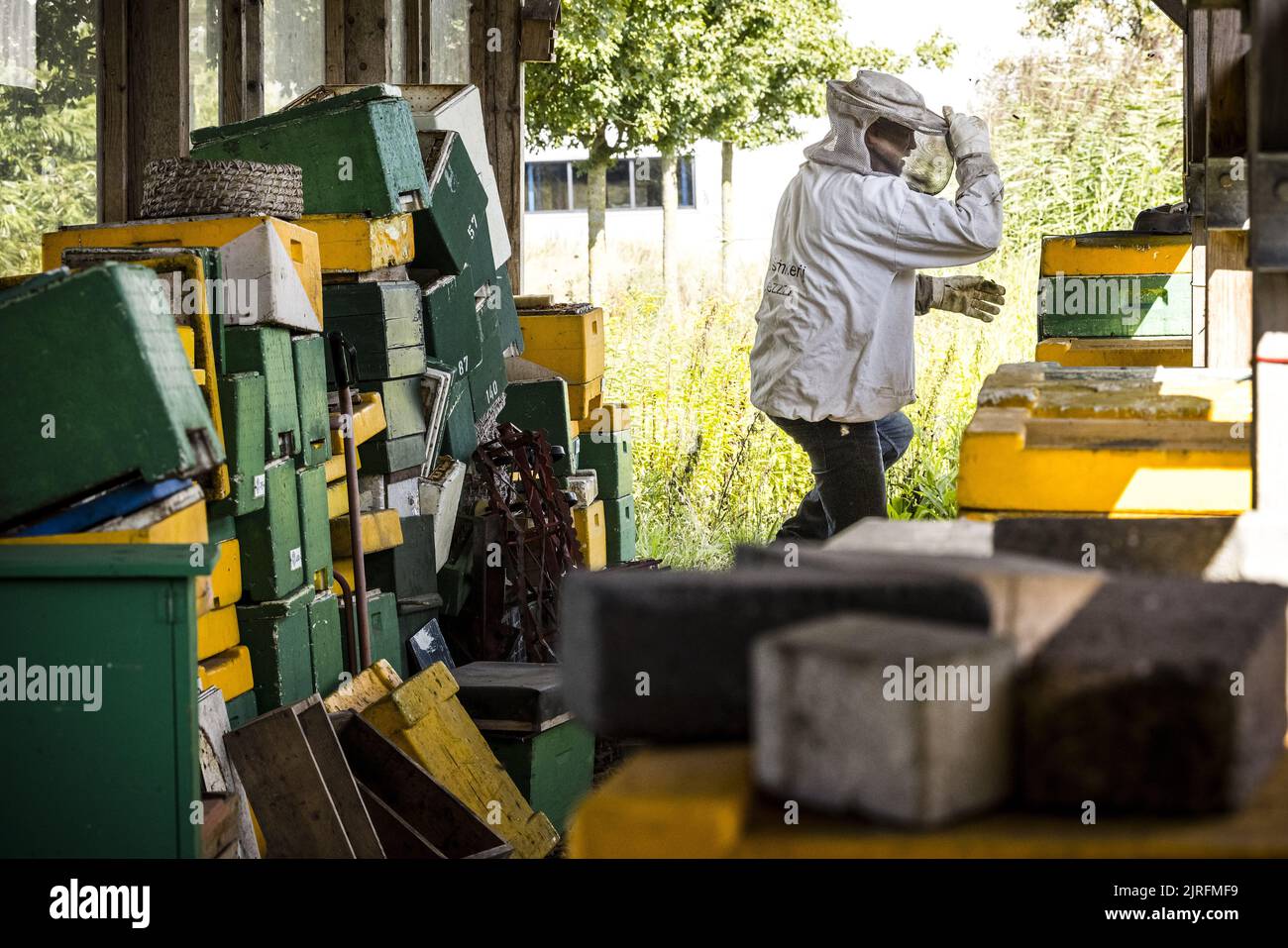 2022-08-24 11:52:10 TILBURG - Beekeeper Marcel Horck feeds his bees with extra sugar water. Due to the persistent drought, there is not enough nectar in the flowers to build up a winter supply. ANP ROB ENGELAAR netherlands out - belgium out Stock Photo