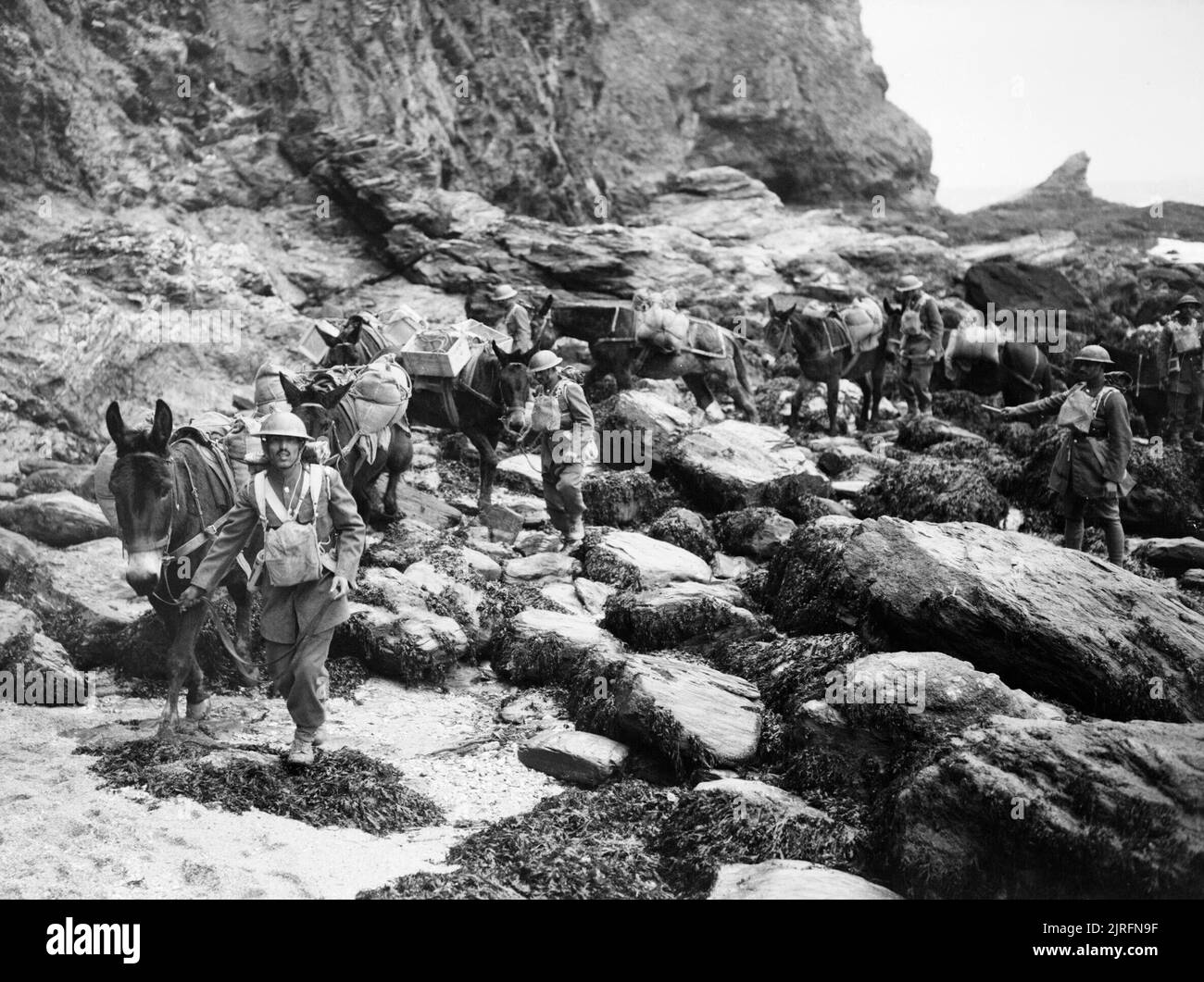 Mule handlers of the Royal Indian Army Service Corps negotiate rocky terrain while on exercise in the UK, 16 November 1940. Mule handlers of the Royal Indian Army Service Corps negotiate rocky terrain, 16 November 1940. Stock Photo