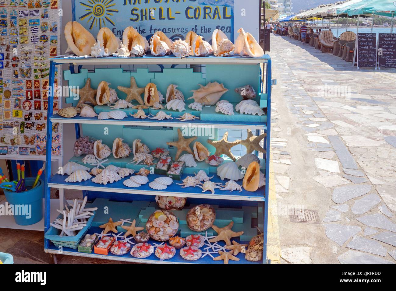 Verkauf von toten Meerestieren in einem Touristenshop auf der Promenade von Ierapetra, Ierapetra ist die suedlichste Stadt Griechenlands, Kreta, Griec Stock Photo