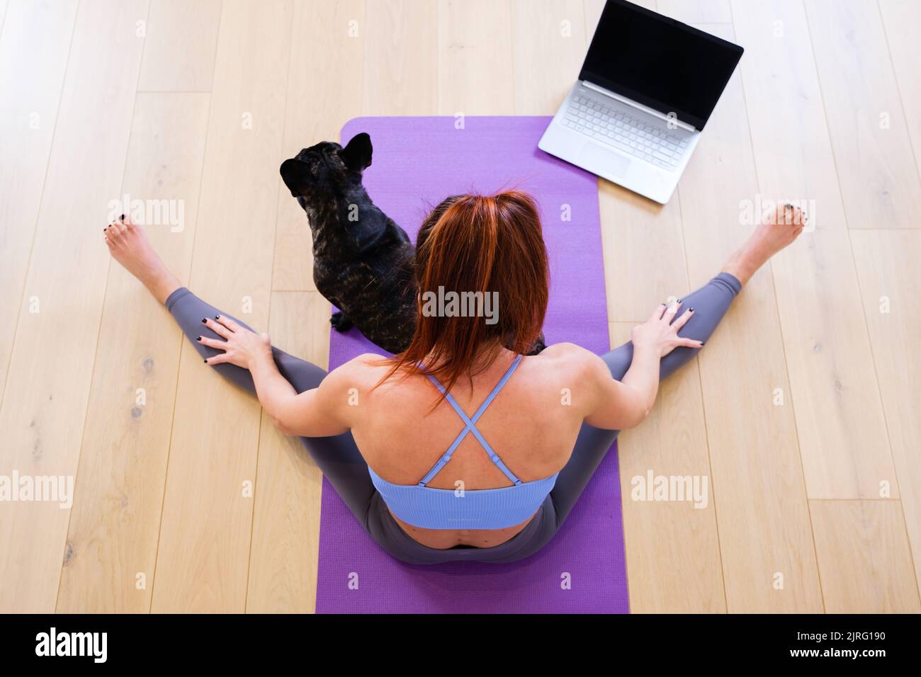 Top view fit sporty healthy woman sits on mat doing following exercises, watching online yoga class on laptop. His pug dog keeps company Stock Photo