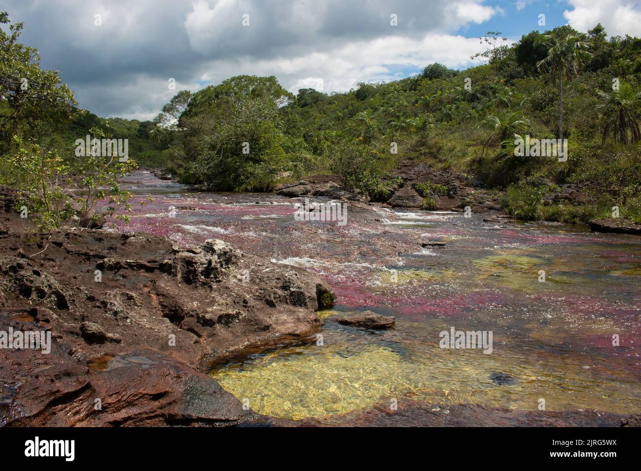 The Cano Cristales river, known as the Rainbow River, in the Serrania de La Macarena National Park in the Meta Department of Colombia Stock Photo