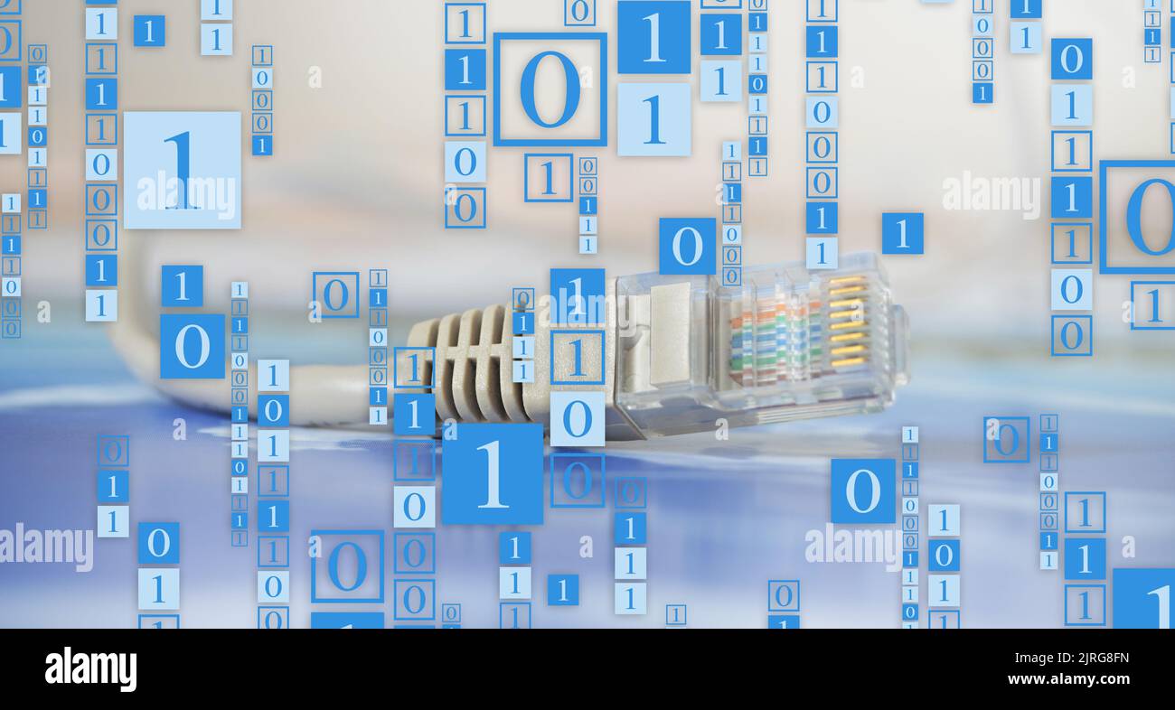 cable. Network connection and communication