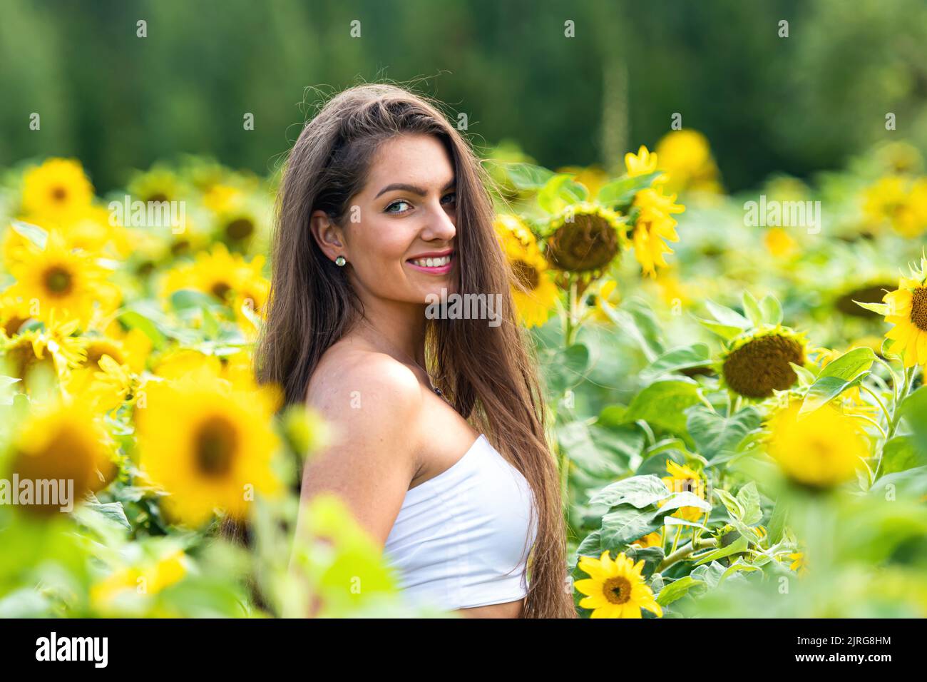 sensual young woman with long hair in sunflower field on summer day ...