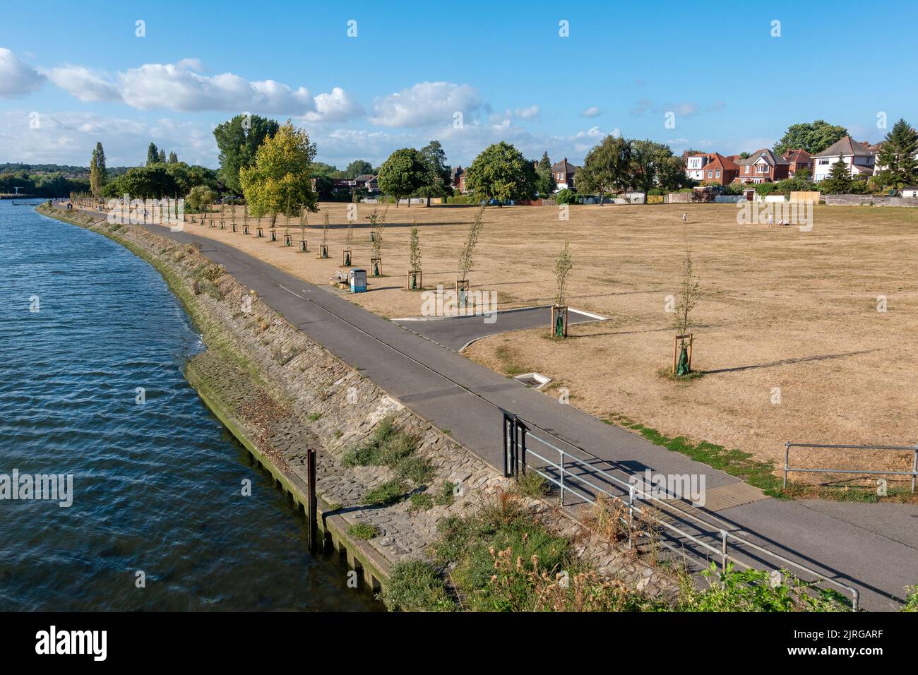August 2022 yellow grass in park during the UK heatwave and drought in Riverside Park, Southampton, UK Stock Photo