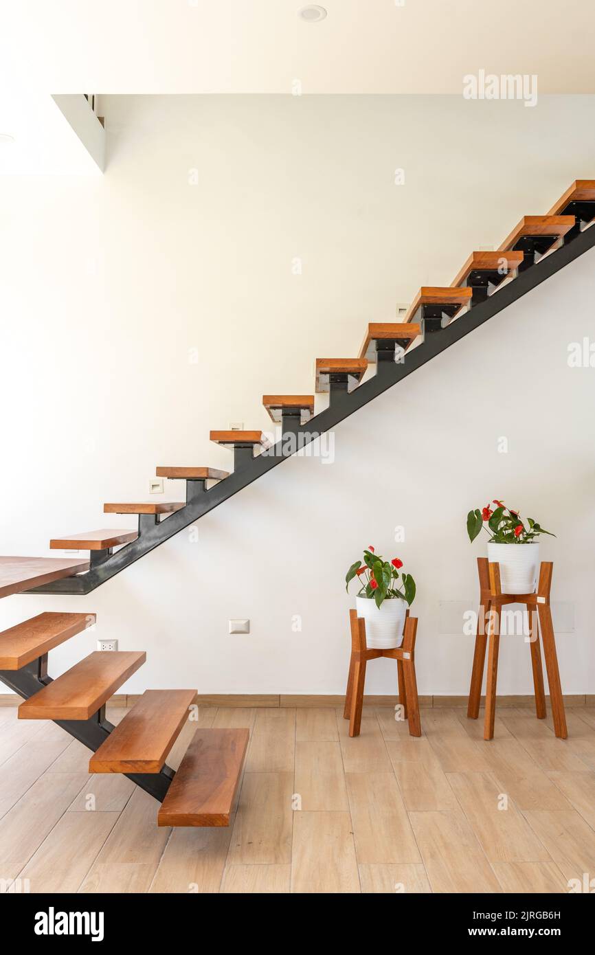 A vertical shot of the home interior with wooden stairs and flower pots