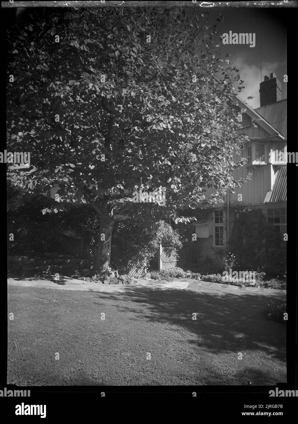 View of Lady Grey's house and garden, circa 1934, Wellington, by J.W