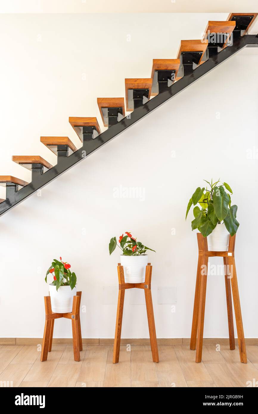 A vertical shot of the home interior with wooden stairs and flower pots