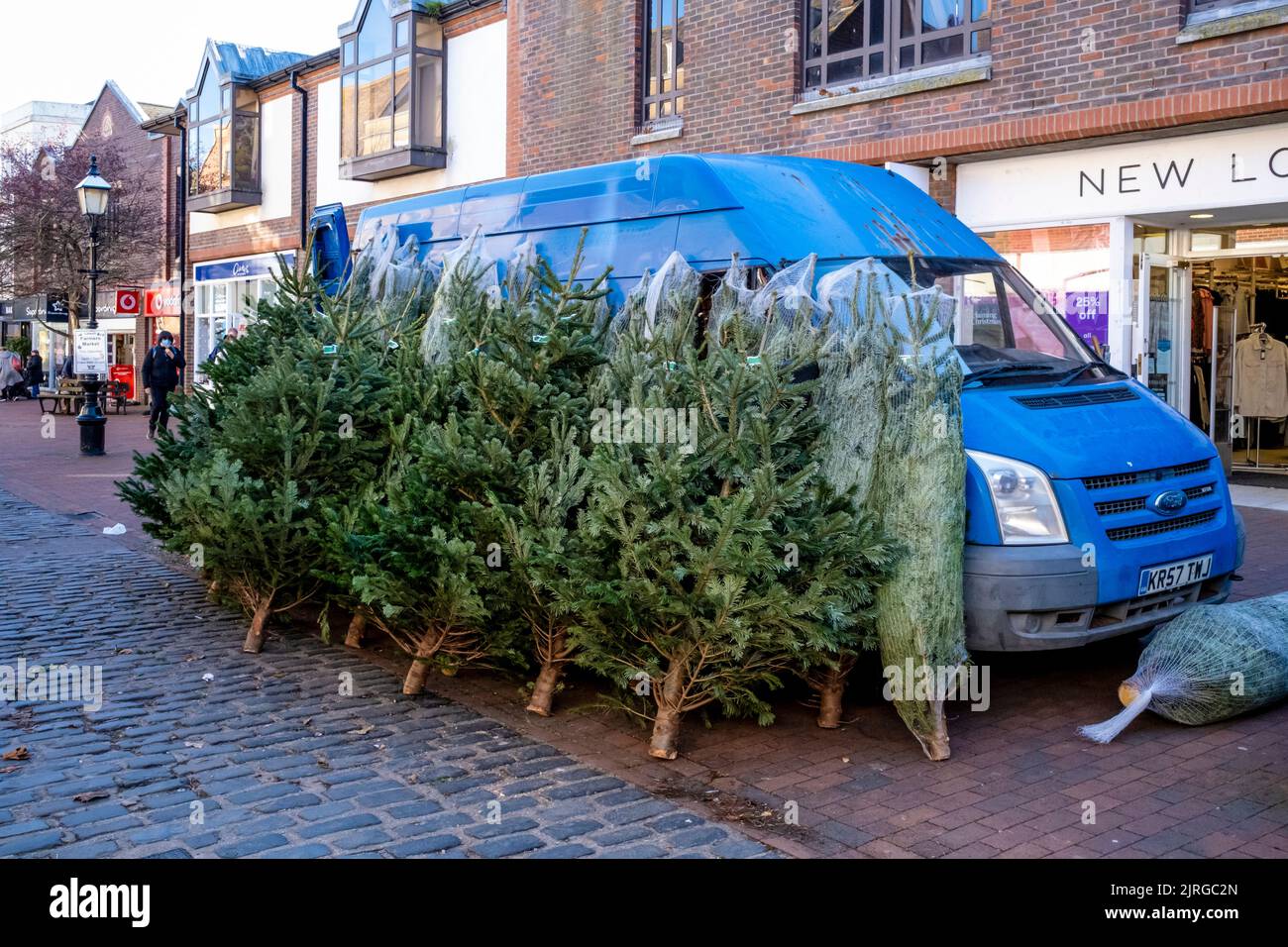 Christmas Trees For Sale, High Street, Lewes, East Sussex, UK. Stock Photo