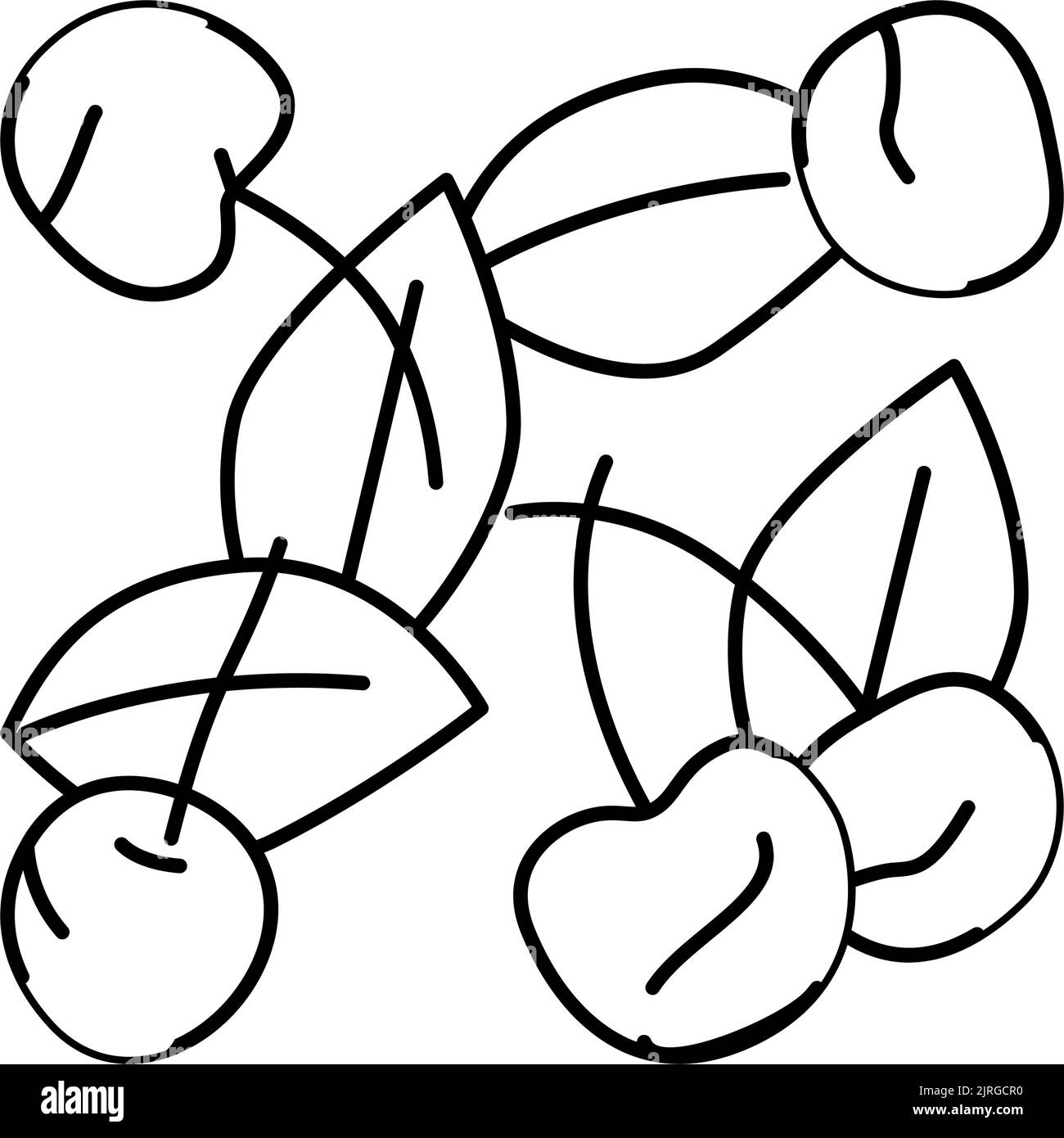 cherry composition line icon vector illustration Stock Vector Image ...