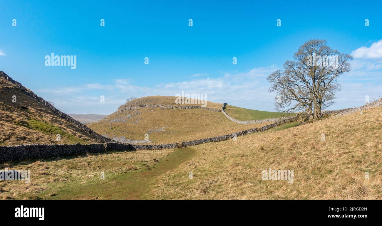 Looking along part of the Dales Way with lovely trees on beautiful day, Yorkshire Dales National Park, North Yorkshire, England, UK Stock Photo