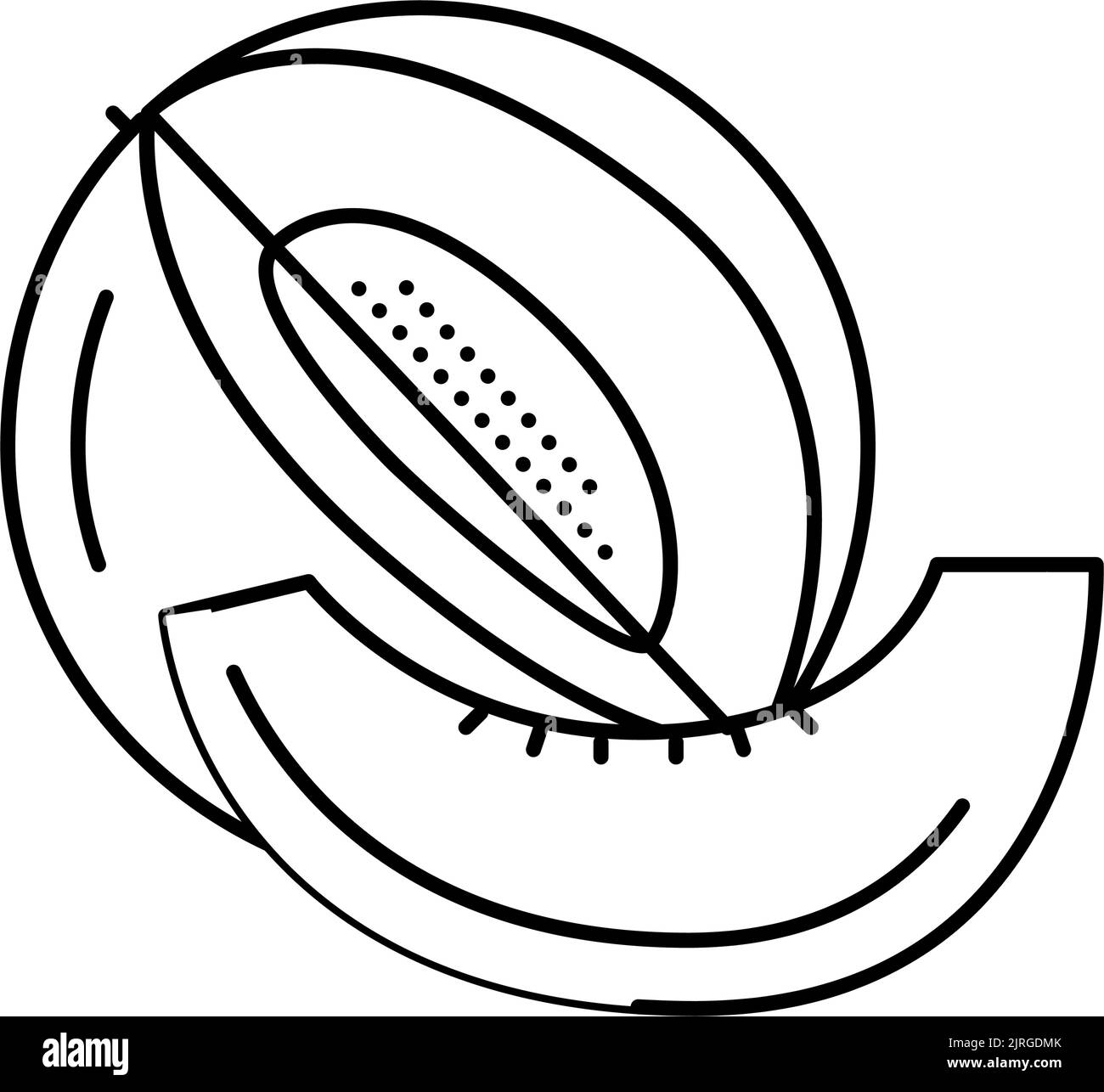slice cut melon line icon vector illustration Stock Vector Image & Art ...