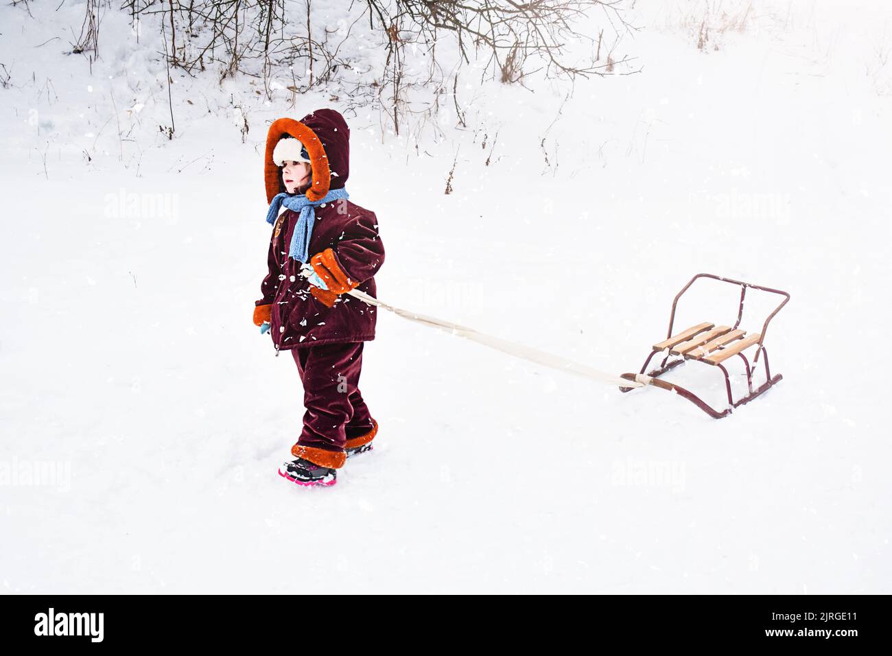 Little child pulling a sled in the snow. The kid is riding on a sleigh