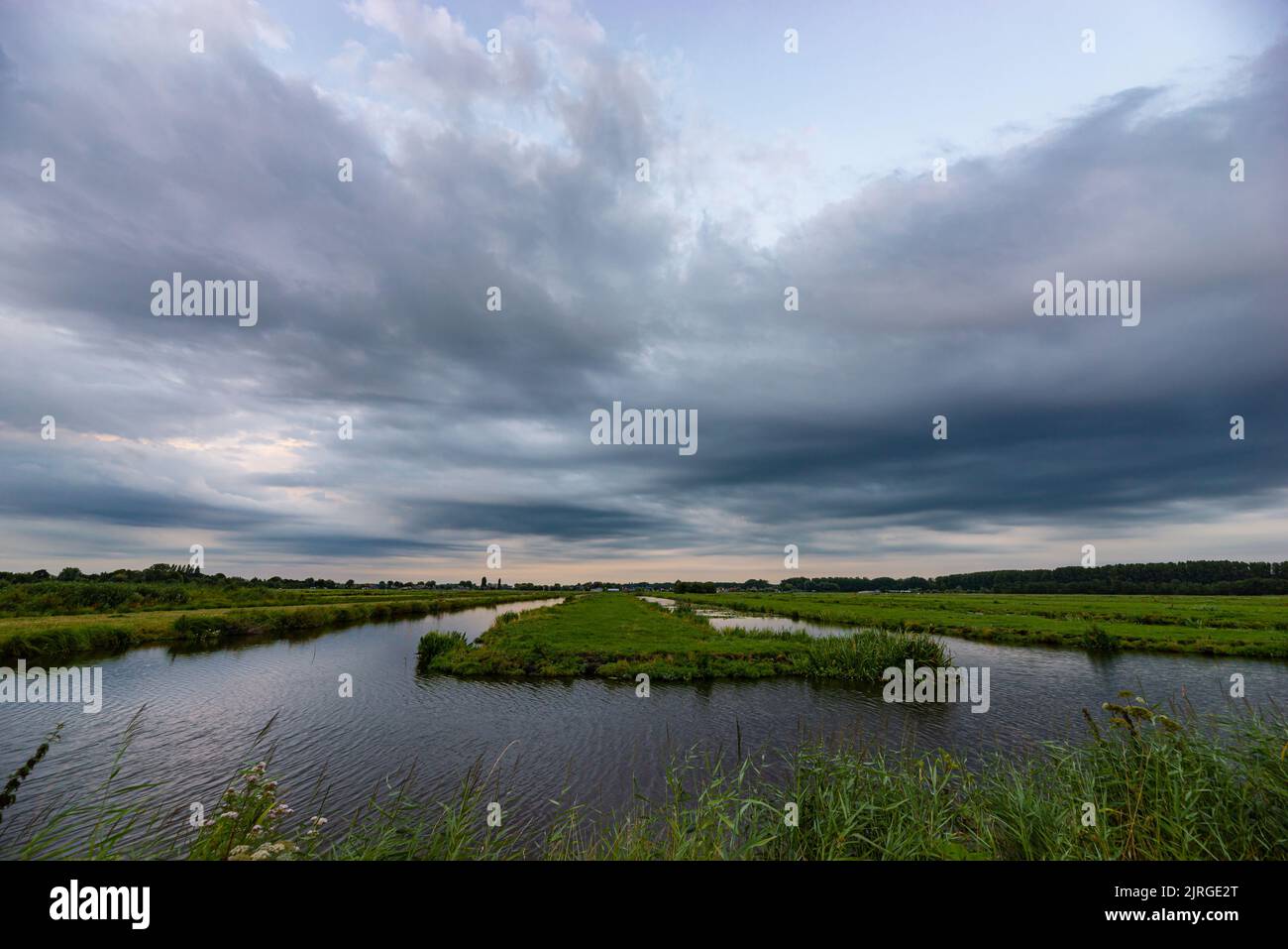 Watery environment hi-res stock photography and images - Alamy