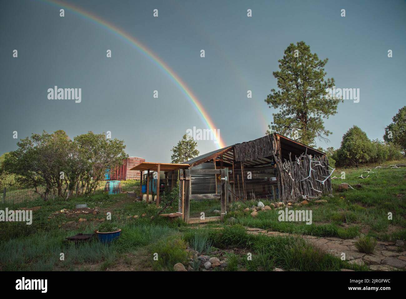 Double rainbow, pine trees and a shed in a garden with a coyote fence decorated with antlers. Stock Photo