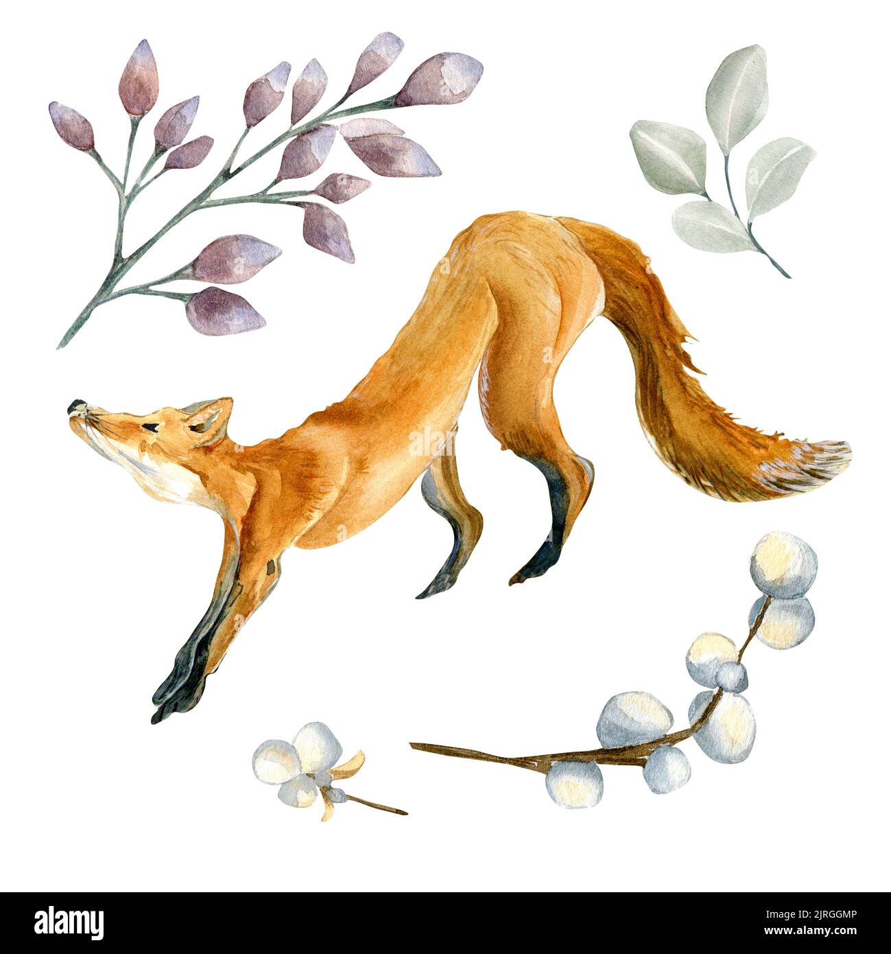 Set of fox and forest plants watercolor illustration isolated on white ...