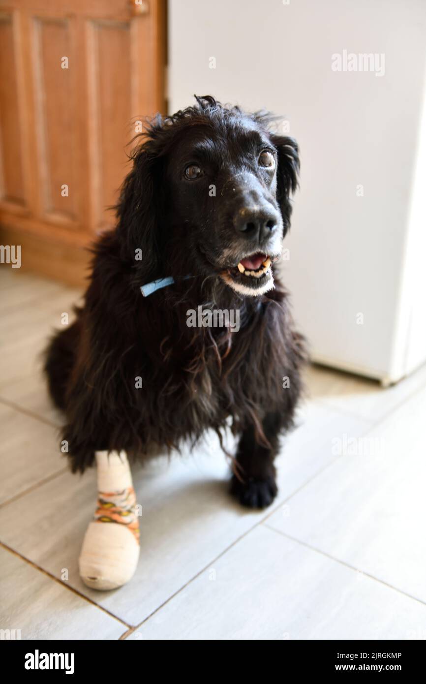 Operation hi res hi-res stock photography and images - Alamy