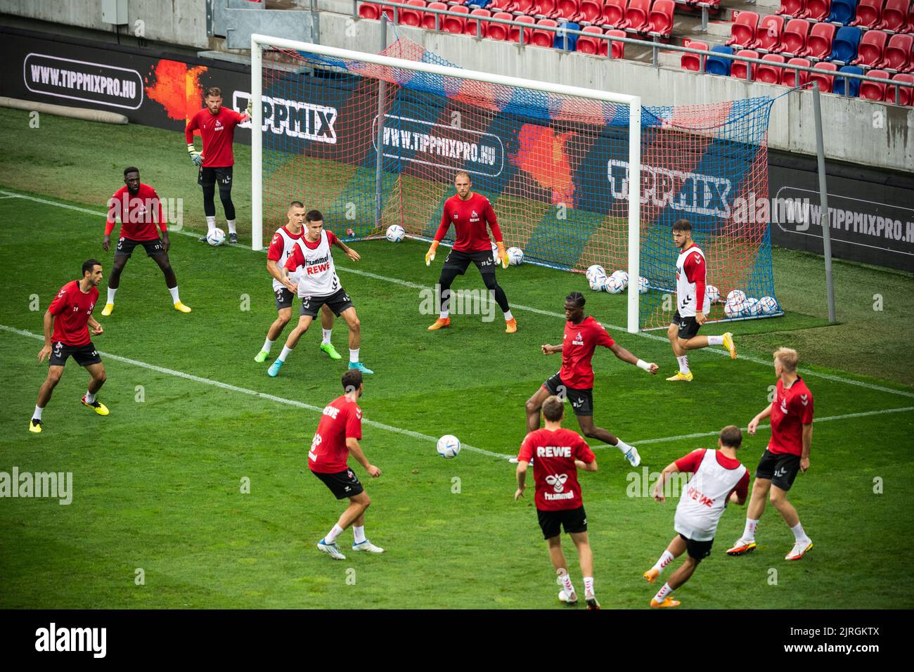 Szekesfehervar, Hungary. 24th Aug, 2022. Soccer, final training 1. FC Köln before the second leg of the UEFA Europa Conference League qualifier. Cologne's team during training. Credit: Marton Monus/dpa/Alamy Live News Stock Photo