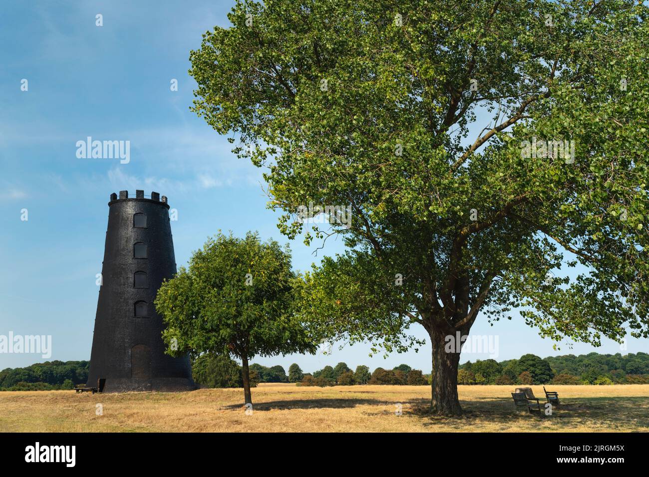 Disused windmill flanked by trees and surrounded by dry grass and all under blue sky during prolonged heatwave in the Westwood in Beverley, UK. Stock Photo