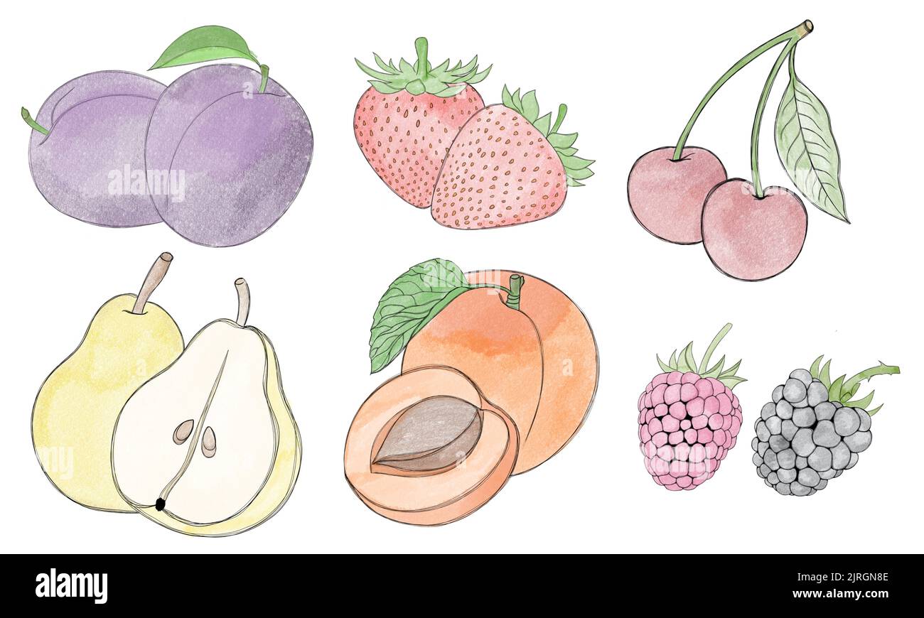 Big set of watercolor fruits freehand illustration Stock Photo - Alamy