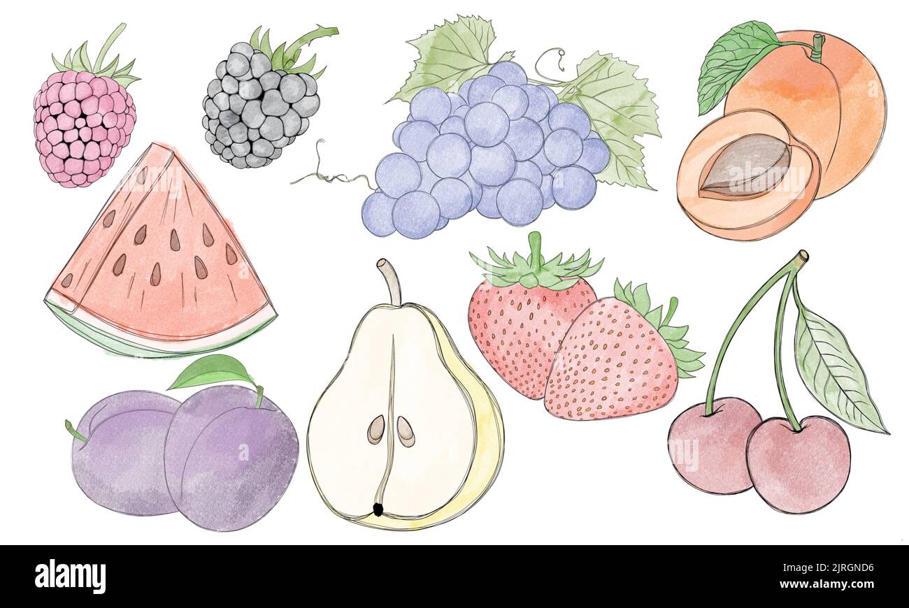 Big set of watercolor fruits and berries freehand illustration Stock ...