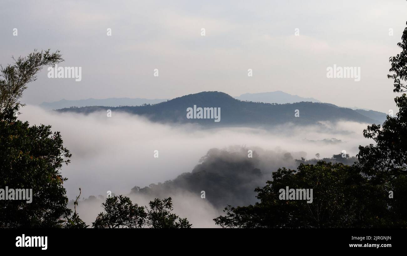 The trees and mountains covered with fog Stock Photo - Alamy