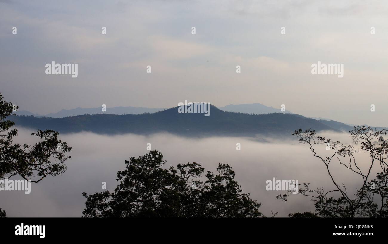 The trees and mountains covered with fog Stock Photo - Alamy