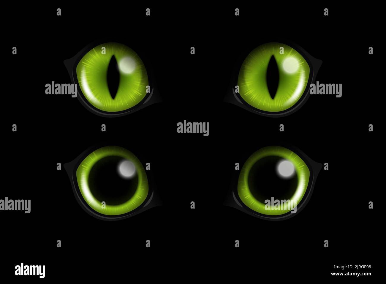 Vector 3d Realistic Green Round Glowing Cats Eyes of a Black Cat Set