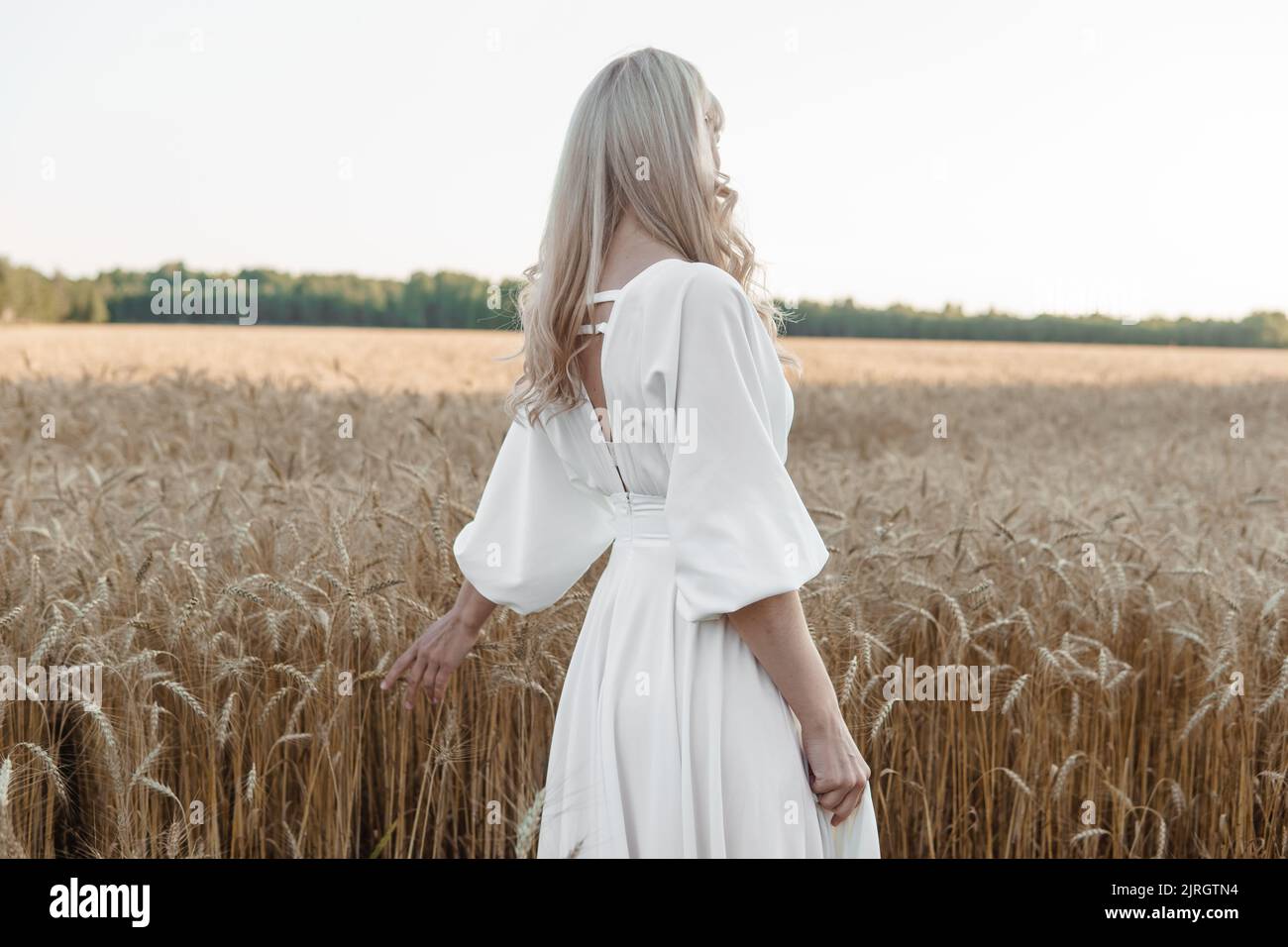 A blonde woman in a long white dress walks in a wheat field. The ...