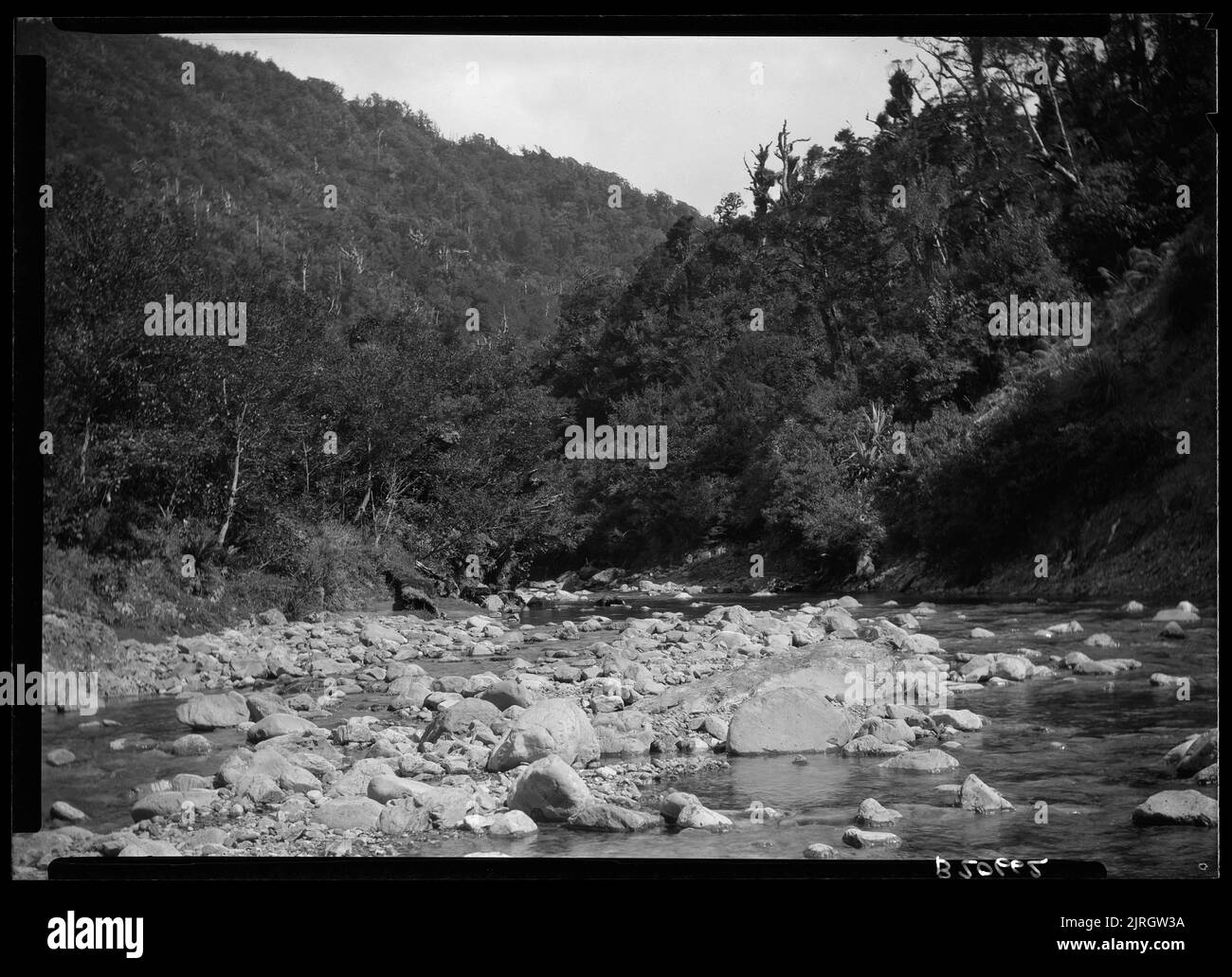 First attempt to cross Tararuas via Bannister 27 February 1929, 27 February 1929, North Island, by Leslie Adkin. Gift of G. L. Adkin family estate, 1964. Stock Photo