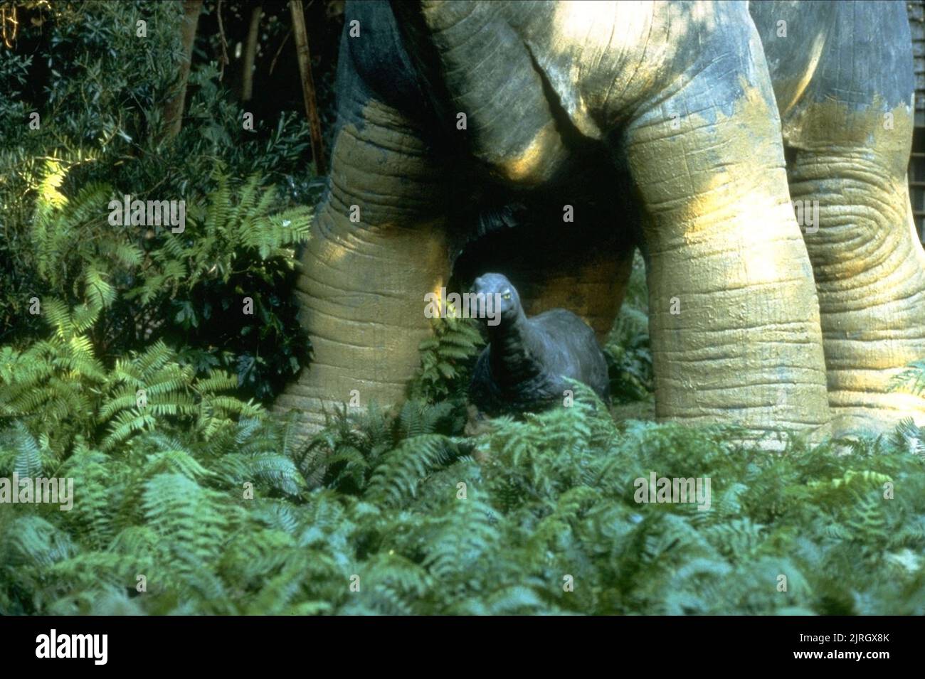 DINOSAUR, BABY: SECRET OF THE LOST LEGEND, 1985 Stock Photo - Alamy